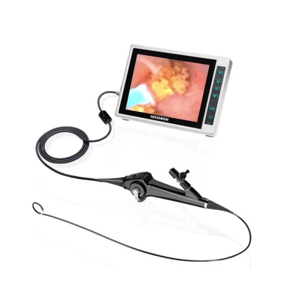 Seesheen Flexible Video Cystonephroscope
