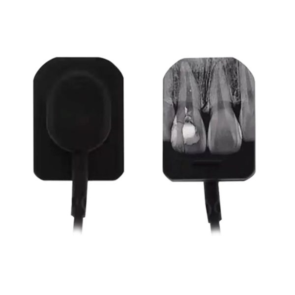 Dental X-Ray Sensor