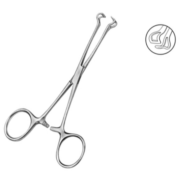 Babcock Tissue Forceps