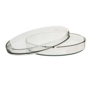 Petri Dish Per Pack