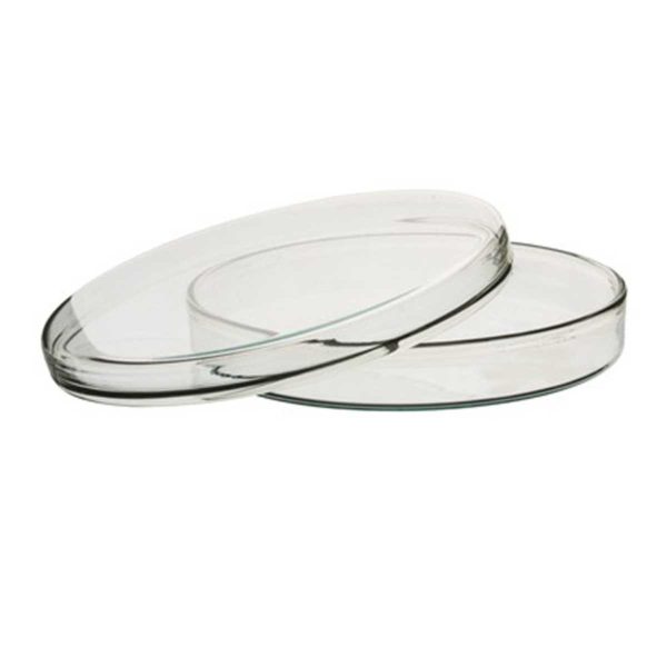 Petri Dish Per Pack